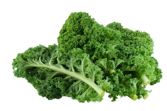Shaanxi Kingsci Biotechnology Co., Ltd. - Foods & Beverages products | China