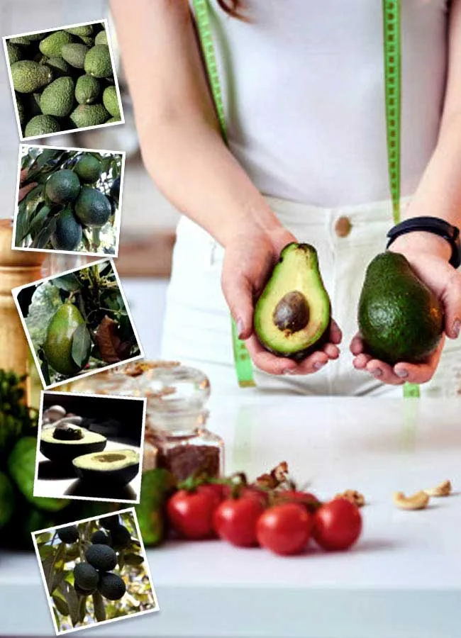 Duclos Farms - Foods & Beverages products | United States