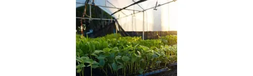 Hebei Marshine New Material Technology Co., Ltd. - Agriculture products | China