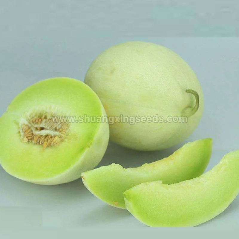 Hebei Shuangxing Seeds Co., Ltd - Agriculture products | China