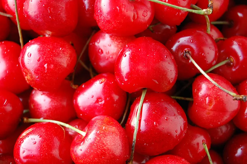 Exporter Piotr Fylak - Agriculture products | Poland