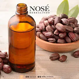 PT Nose Herbalindo - Beauty & Cosmetics products | Indonesia