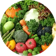 Atlantic Gulf Company - Agriculture products | Morocco