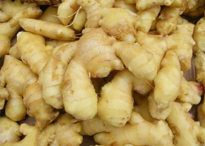 Laizhou Tiancibao Produce Co., Ltd. - Agriculture products | China
