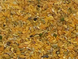 Agro Gums - Foods & Beverages products | India