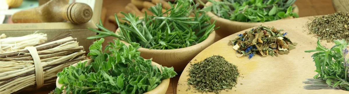 Verdure Herbals - Agriculture products | India