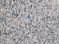 Laizhou Bestone Stone Co., Ltd - Construction products | China