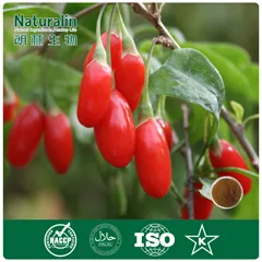 Naturalin Bio-Resources Co., Ltd - Foods & Beverages products | China