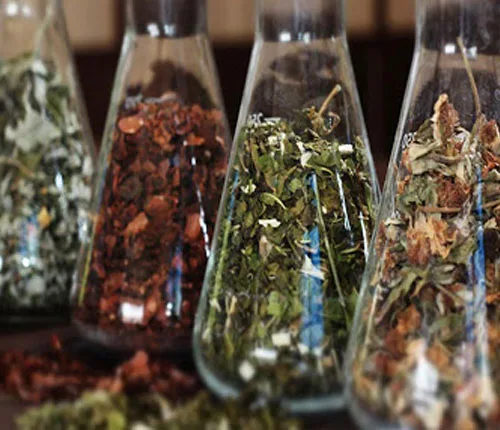 Himalaya Herb Stores - Agriculture products | India