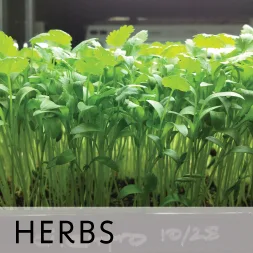 Mountain Valley Seed Co. - Agriculture products | United States