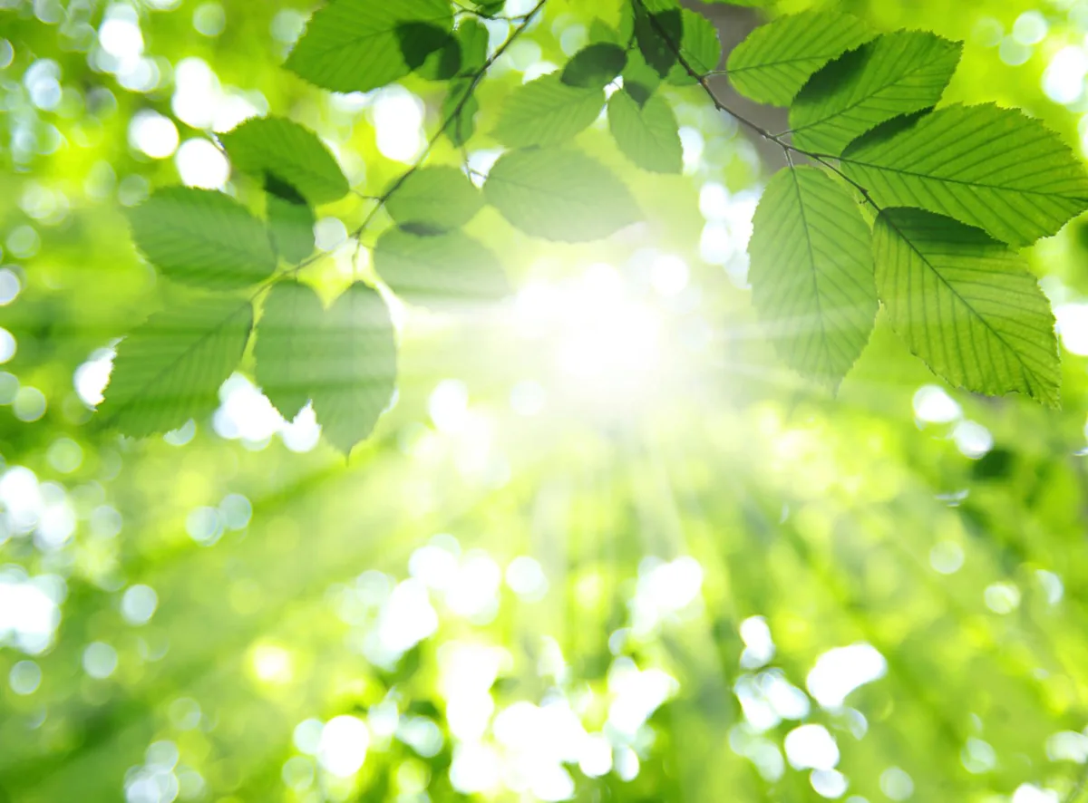 Solar Watt Solutions - Energy & Minerals products | United States