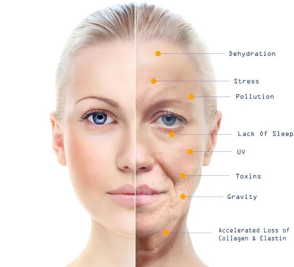 Riva Dermatology - Health & Medical products | United States