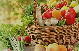Alexandria Group - Agriculture products | United States