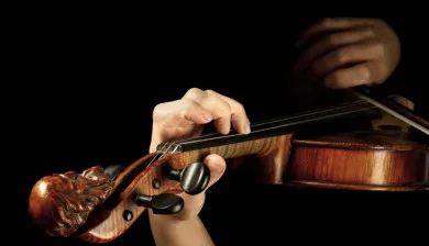 Princeton String Academy - Services & Organizations products | United States