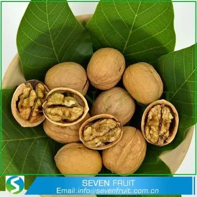 Hebei Seven Fruit Trade Co., Ltd - Foods & Beverages products | China