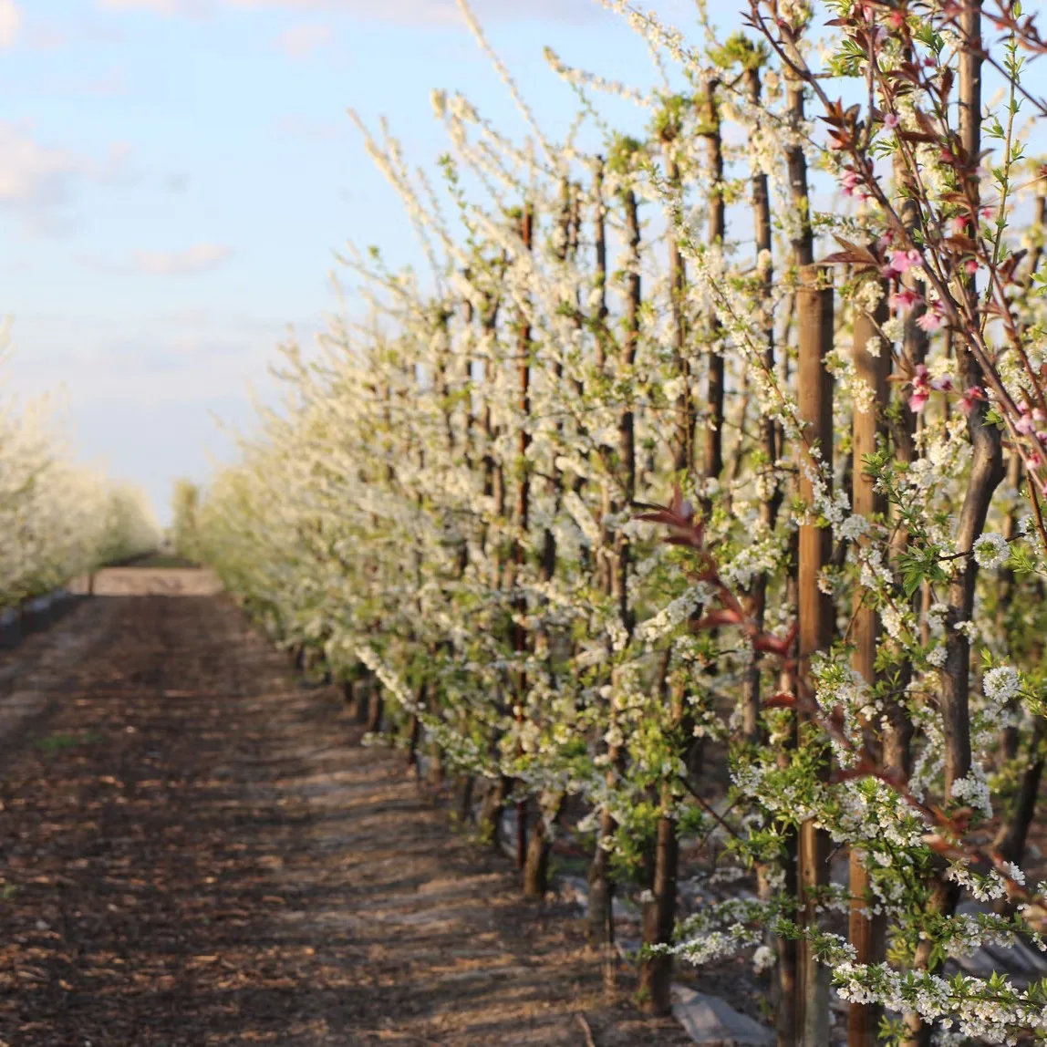Nutrien Ltd - Agriculture products | Canada
