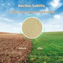 Hebei Shuntian Biotechnology Co., Ltd. - Agriculture products | China