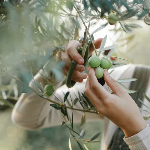 Adira Earth - Beauty & Cosmetics products | Australia