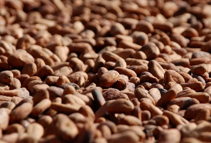 Olam Food Ingredients - Agriculture products | Singapore