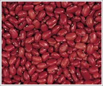 Strong International Trading Inc. - Agriculture products | Canada