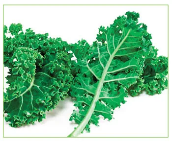 Emerald Greens - Agriculture products | Ireland