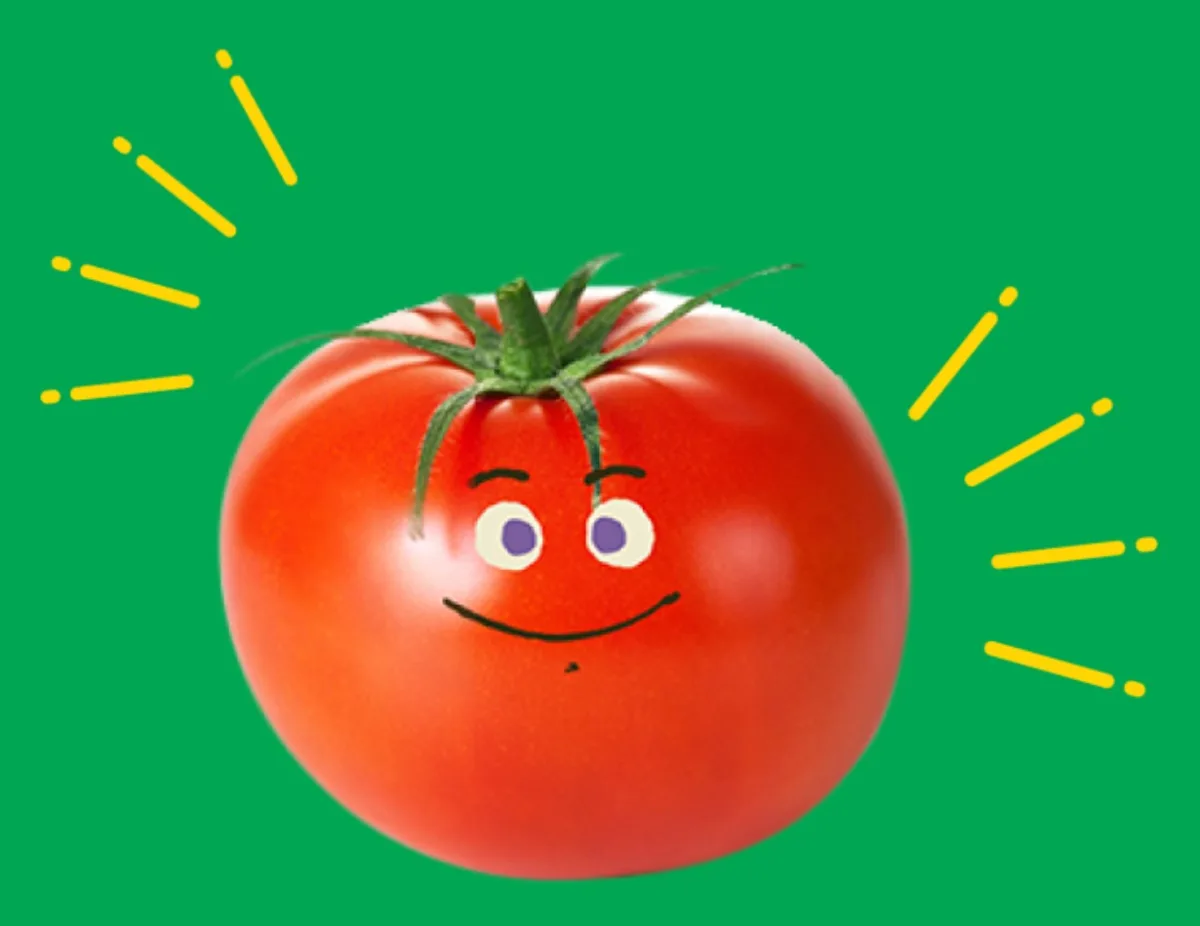 Veggies From Mexico - Agriculture products | Mexico