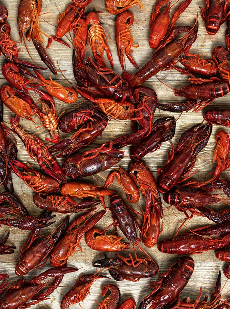 Gulf Marine Products Inc. - Foods & Beverages products | United States
