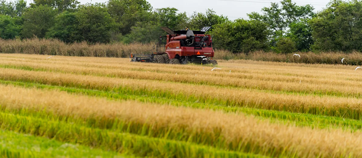 Sigma AgriScience - Agriculture products | United States
