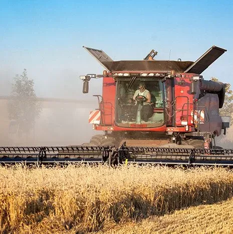 Powerroots - Agriculture products | Chile