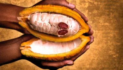 Olam Food Ingredients Ghana Ltd - Foods & Beverages products | Ghana