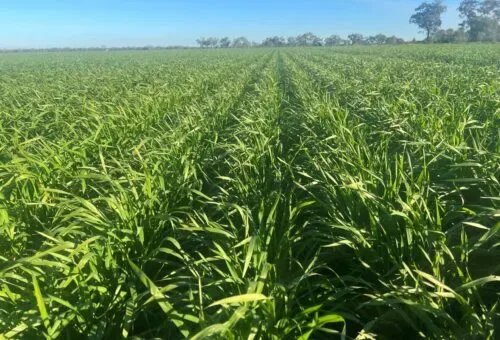 Best Farming Systems Pty Ltd - Agriculture products | Australia