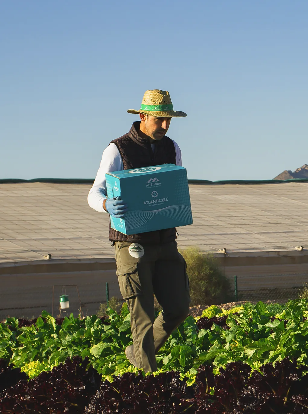 Atlántica Agrícola S.A - Agriculture products | Spain