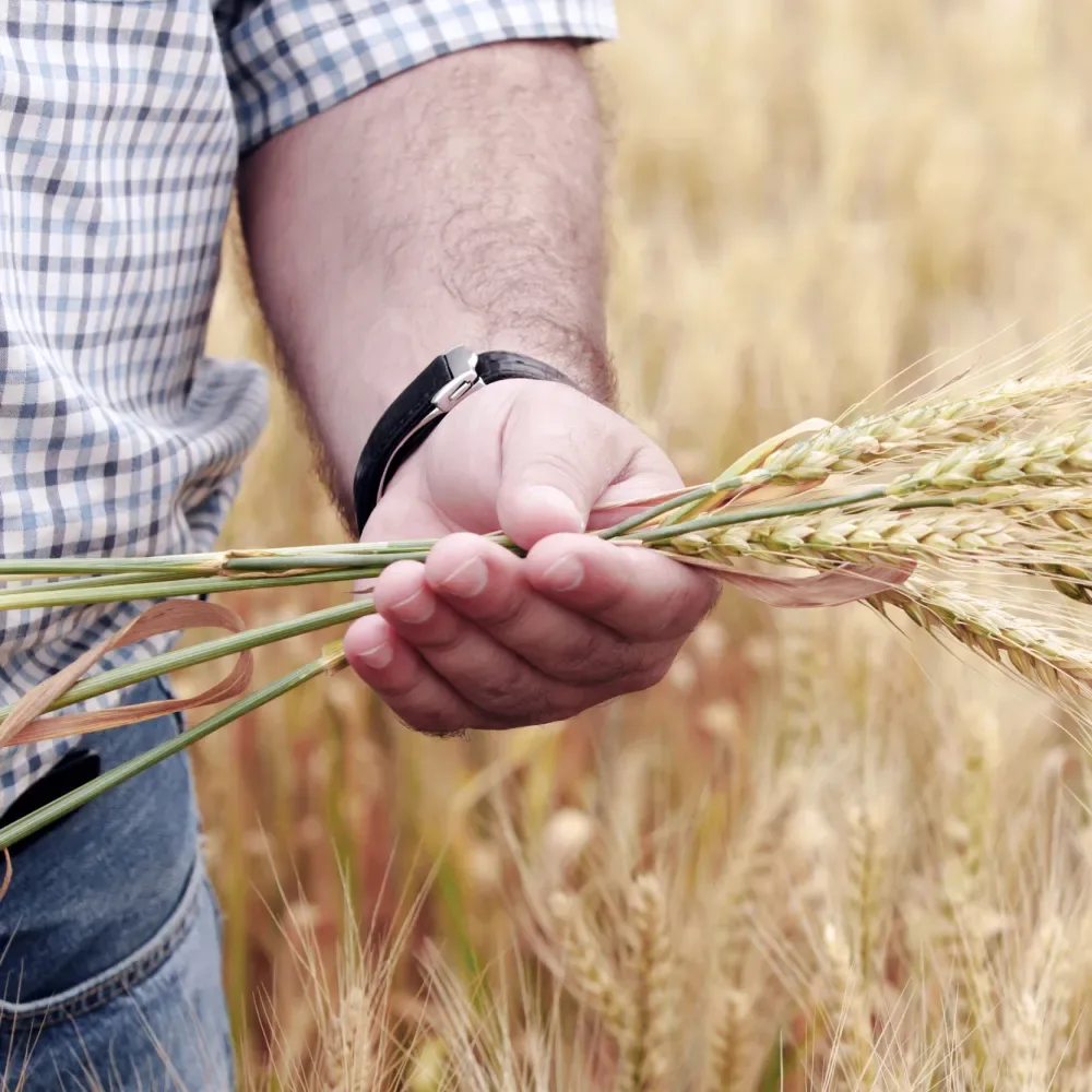 Compo Expert GmbH - Agriculture products | Germany