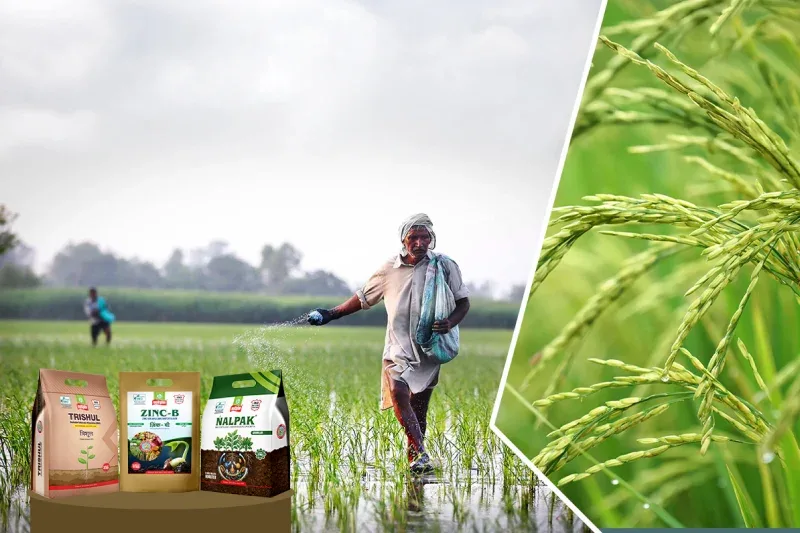 Multiplex Group - Agriculture products | India