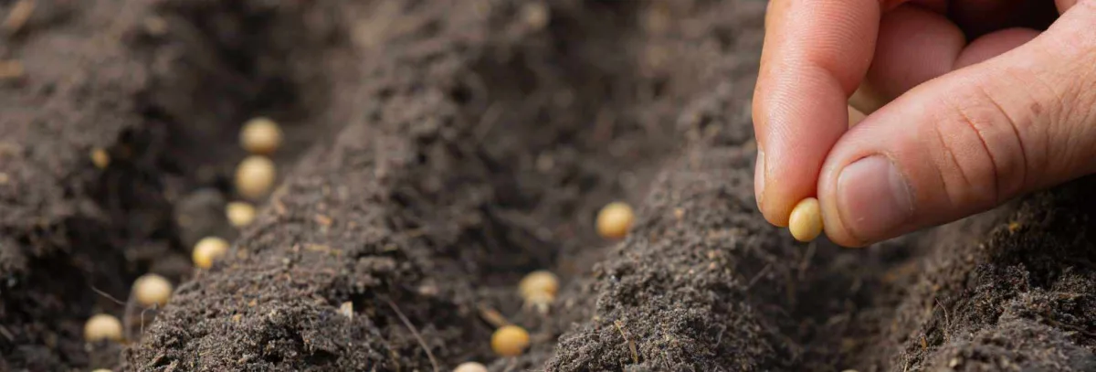 Fertilizantes Minerales de Colombia S.A.S. - Agriculture products | Colombia