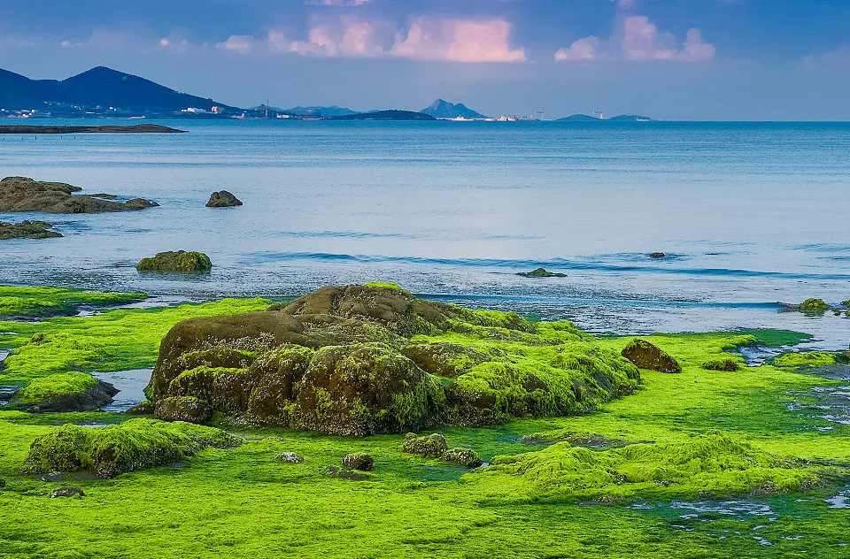 Qingdao Seawin Biotech Group Co., Ltd - Agriculture products | China