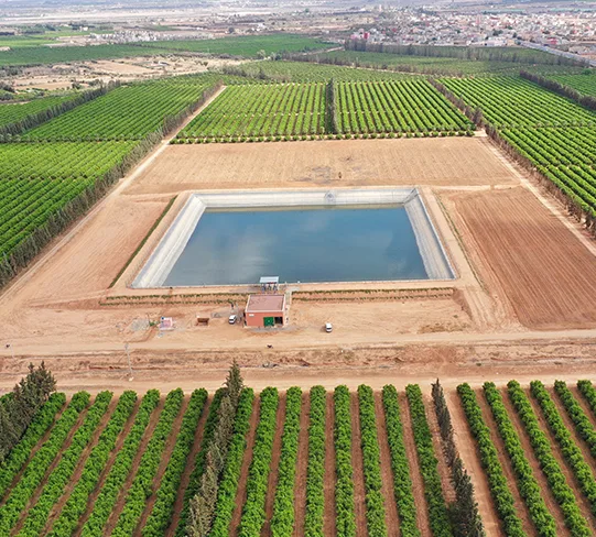 CMGP Group - Agriculture products | Morocco