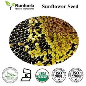 Runherb Inc - Agriculture products | China