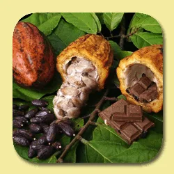 Jutawan Muda Enterprise - Foods & Beverages products | Malaysia