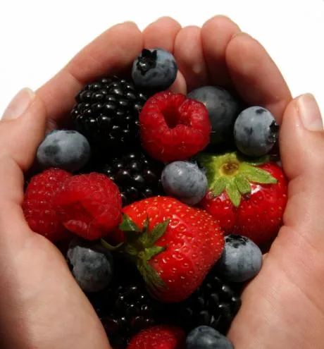 Lattanzi Srl - Foods & Beverages products | Italy