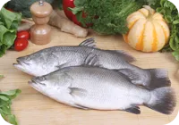North Supreme Seafood (Zhuhai) Co ., Ltd - Foods & Beverages products | China