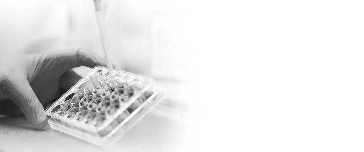 Adwia Pharmaceuticals - Health & Medical products | Egypt