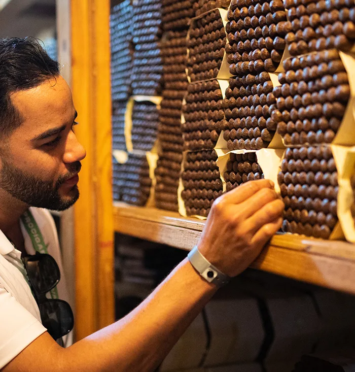 Tabacalera Palma - Others & Miscellaneous products | Dominican Republic