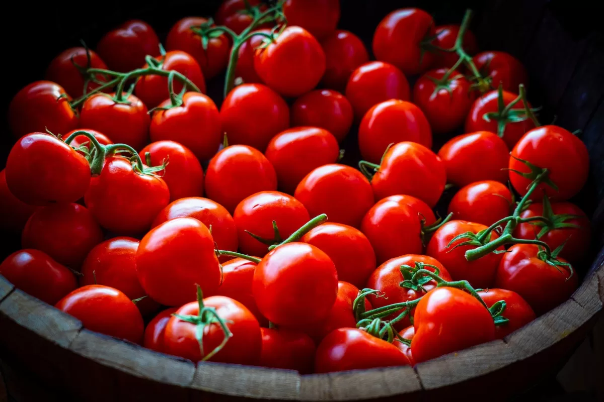 La Contadina Srl - Foods & Beverages products | Italy