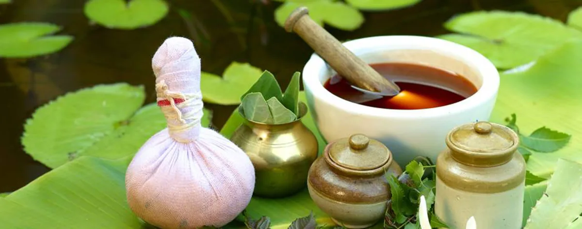 Verdure Herbals - Agriculture products | India