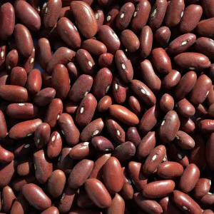 MDECA Group - Foods & Beverages products | Argentina