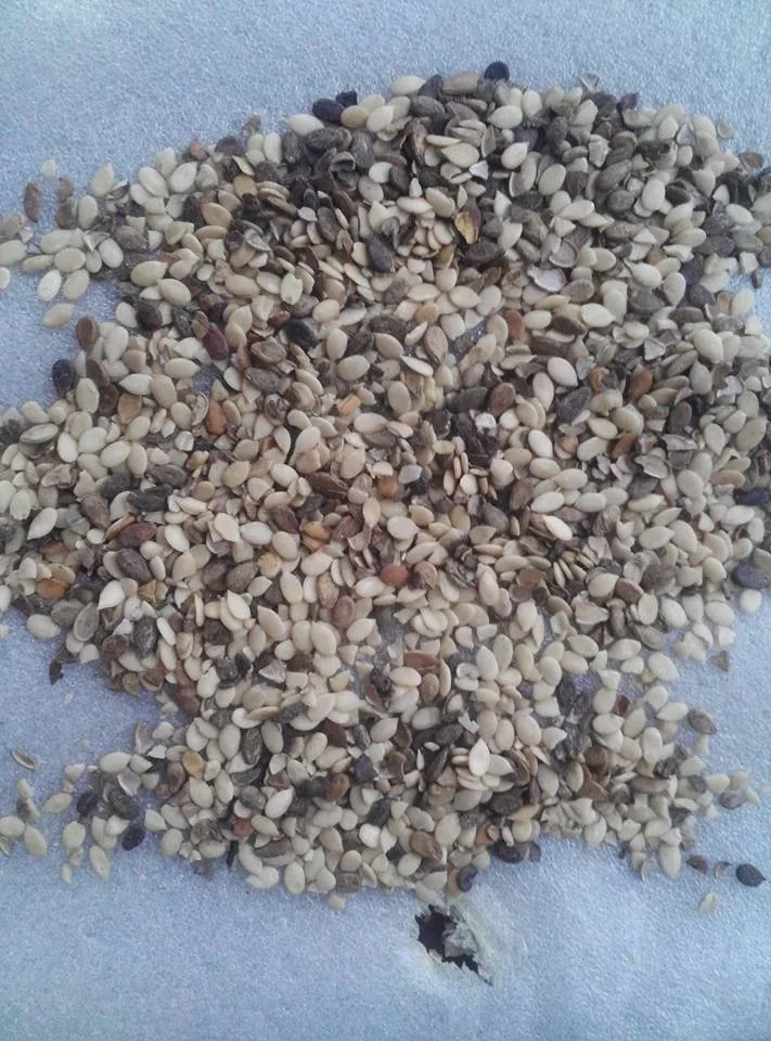 Al Karam Rice Engineering - Agriculture products | Pakistan