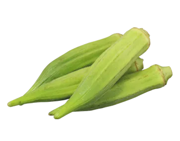 Snow Fresh Egypt - Agriculture products | Egypt