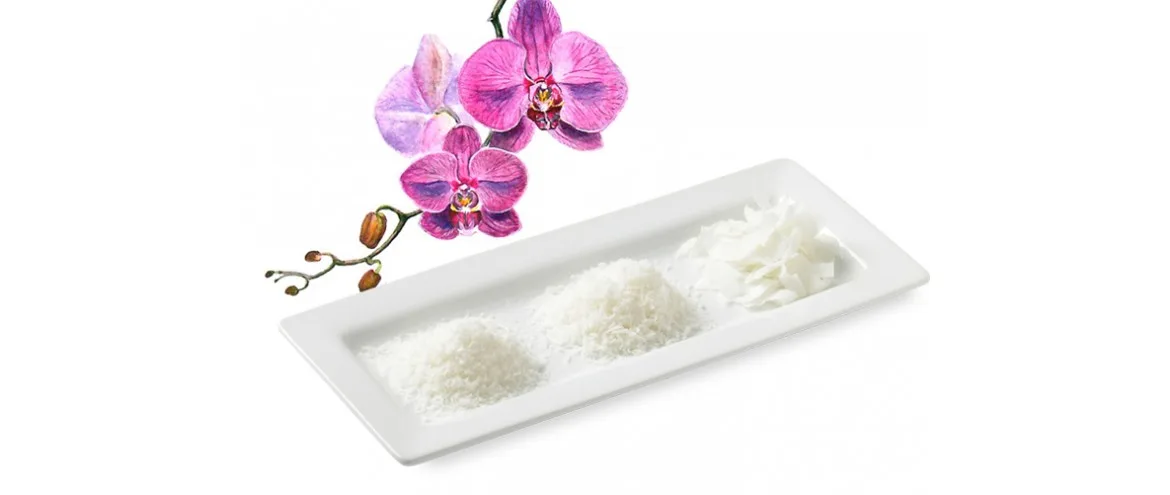 General Packaging Co., Ltd - Offices & Supplies products | Vietnam