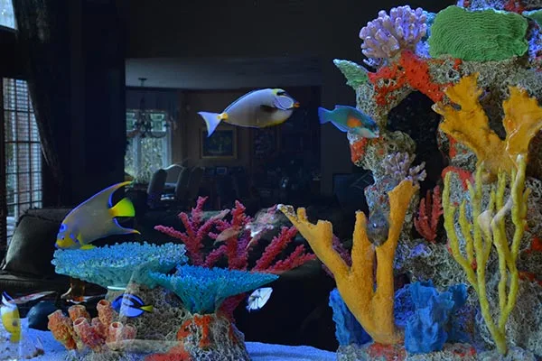 Titan Aquatic Exhibits - Construction products | United States